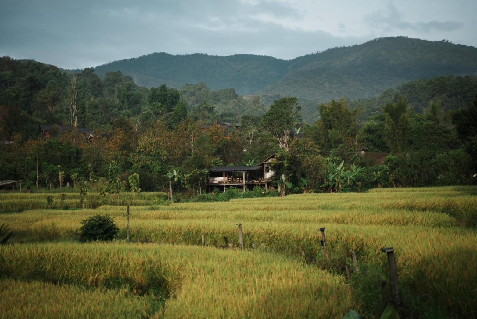 Por Joi ,Por Dee House Hostel Chiang Mai Buitenkant foto